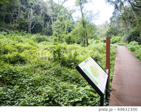 日本の貴重な自然湘南三浦半島の小網代の森（秋） 69632300