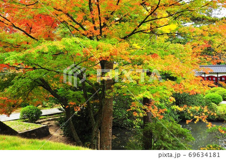 能登總持寺祖院境内の紅葉 能登總持寺祖院境内の紅葉 69634181