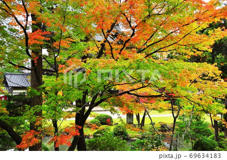 能登總持寺祖院境内の紅葉 69634183