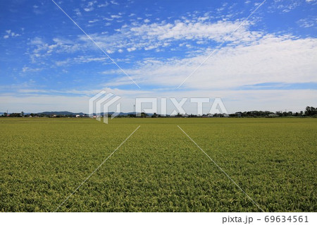 田園風景(北海道南幌町) 田園風景(北海道南幌町) 69634561