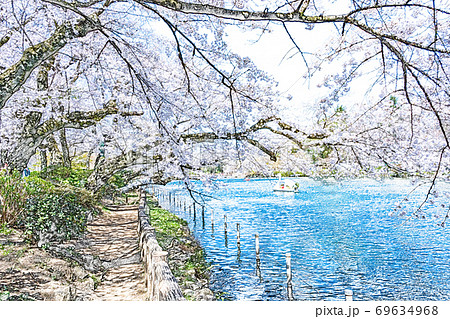 満開の桜【色鉛筆】 満開の桜【色鉛筆】 69634968