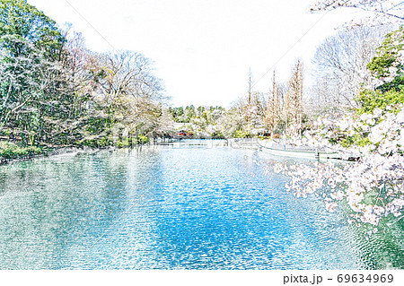 満開の桜 色鉛筆 のイラスト素材