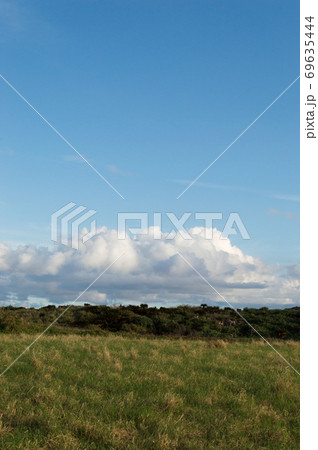 快晴の空と黄色がかった緑の草原 69635444