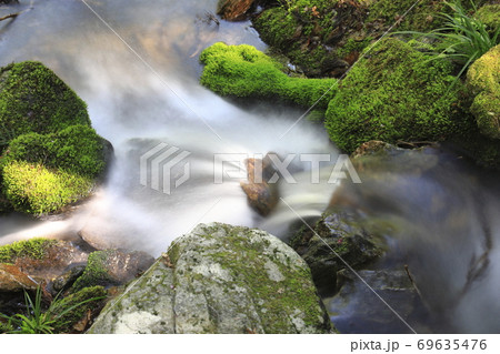 花園渓谷 茨城県北茨木市 の写真素材