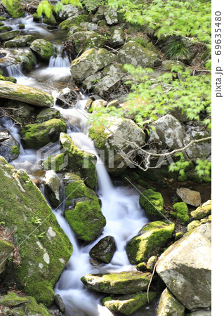 花園渓谷 茨城県北茨木市 の写真素材