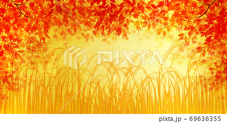 米　稲　秋　背景 69636355