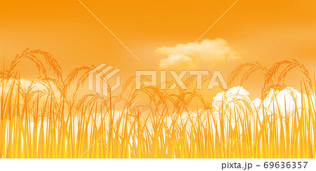 米 稲 秋 背景 米 稲 秋 背景 69636357
