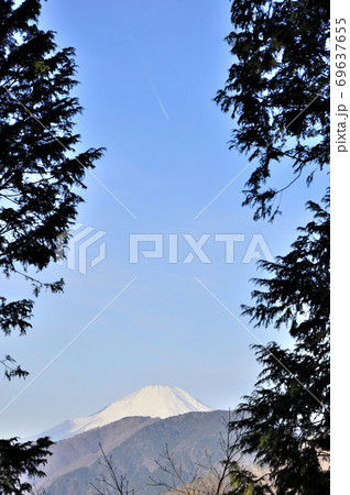 冬の丹沢と富士山 朝日の大倉尾根の森より望む 冬の丹沢と富士山 朝日の大倉尾根の森より望む 69637655