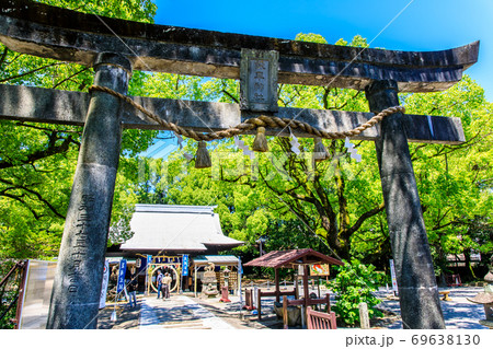 新緑の諫早神社　クス群　【長崎県諫早市】 69638130