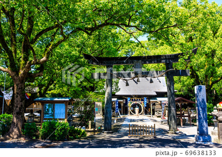 新緑の諫早神社 クス群 【長崎県諫早市】 新緑の諫早神社 クス群 【長崎県諫早市】 69638133