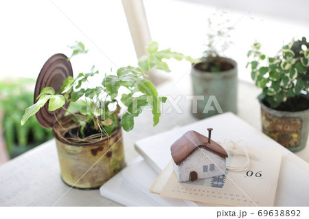 DIYの木の棚とインドアグリーンのイメージ写真 DIYの木の棚とインドアグリーンのイメージ写真 69638892