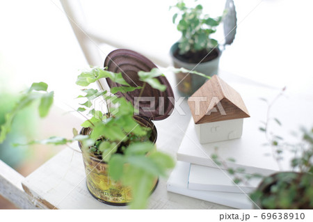 DIYの木の棚とインドアグリーンのイメージ写真 DIYの木の棚とインドアグリーンのイメージ写真 69638910