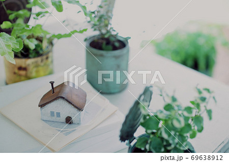 DIYの木の棚とインドアグリーンのイメージ写真 DIYの木の棚とインドアグリーンのイメージ写真 69638912