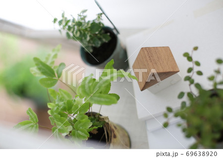 DIYの木の棚とインドアグリーンのイメージ写真 DIYの木の棚とインドアグリーンのイメージ写真 69638920