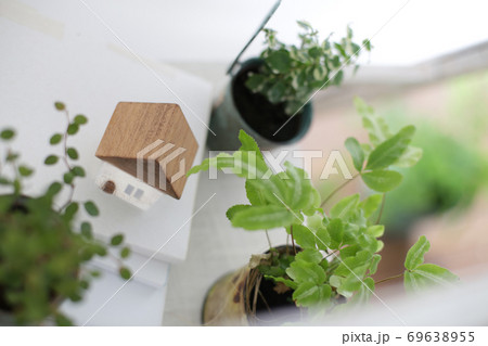 DIYの木の棚とインドアグリーンのイメージ写真 69638955