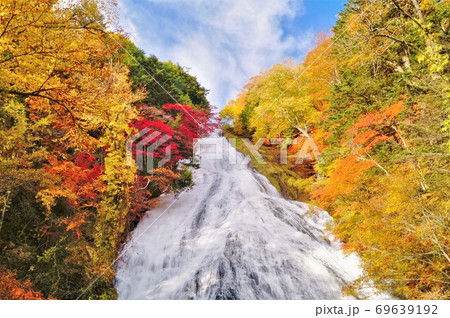 紅葉の湯滝(横) 紅葉の湯滝(横) 69639192