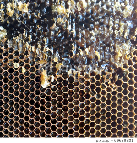 Drop of bee honey drip from hexagonal honeycombs filled with golden nectar. 69639801