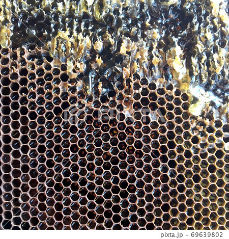 Drop of bee honey drip from hexagonal honeycombs filled with golden nectar. 69639802