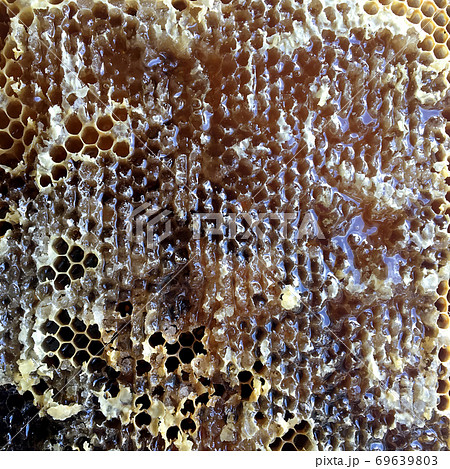 Drop of bee honey drip from hexagonal honeycombs filled with golden nectar. Drop of bee honey drip from hexagonal honeycombs filled with golden nectar. 69639803