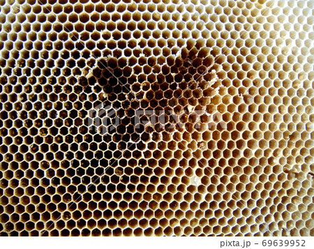 Background hexagon texture, wax honeycomb from a bee hive Background hexagon texture, wax honeycomb from a bee hive 69639952