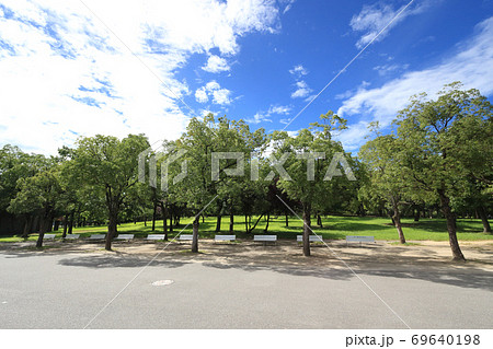 花博記念公園 鶴見緑地 69640198