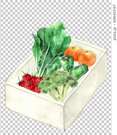 Vegetables and fruits set in a box Komatsuna Broccoli Peppers Mandarin Strawberries White background [Watercolor illustration] 69640597
