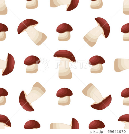 Illustration on theme of bright pattern brown mushroom Illustration on theme of bright pattern brown mushroom 69641070
