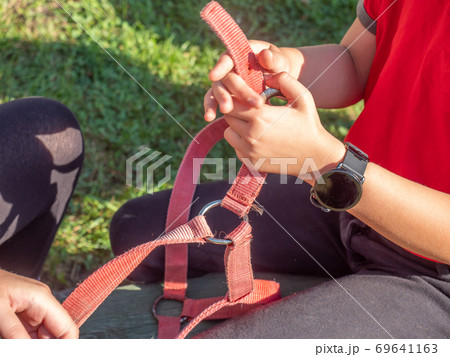 Girls from riding club set horse halter together 69641163