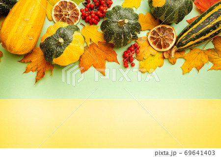Autumn background top view 69641403