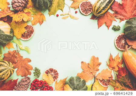 Autumn background top view 69641429