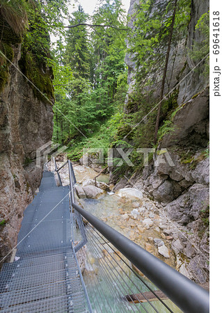 The shwangau waterfalls and the Neuschwanstein The shwangau waterfalls and the Neuschwanstein 69641618