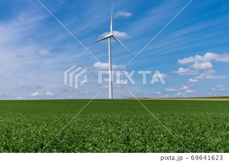 wind turbine in the middle of a wheat field 69641623