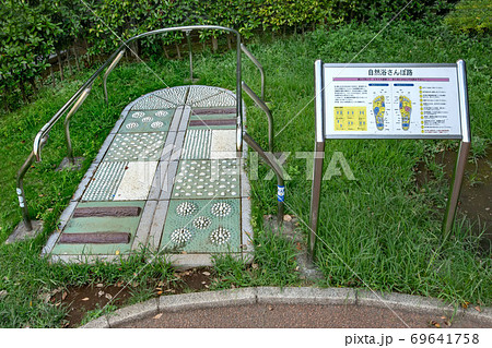東京都港区、高松くすのき公園の自然浴さんぽ路 東京都港区、高松くすのき公園の自然浴さんぽ路 69641758