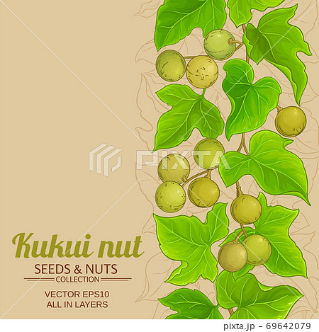 kukui vector background kukui vector background 69642079