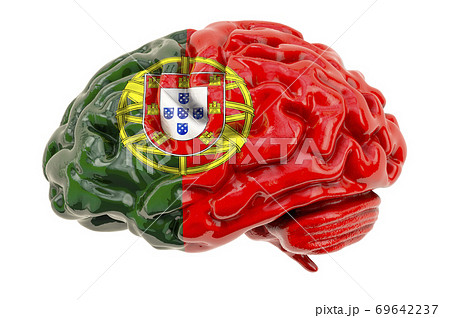 Human brain with Portuguese flag. Scientific research and education in Portugal concept, 3D rendering 69642237