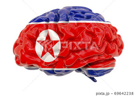 Human brain with North Korean flag. Scientific research and education in North Korea concept, 3D rendering 69642238