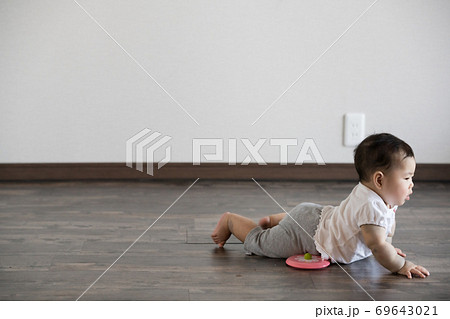 フローリングをハイハイするおもちゃで遊んでいた乳児の女の子の写真素材