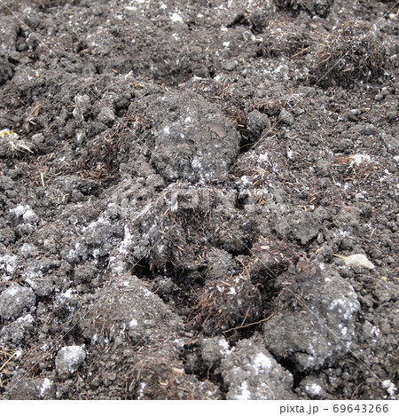 Fresh soil background closeup Fresh soil background closeup 69643266