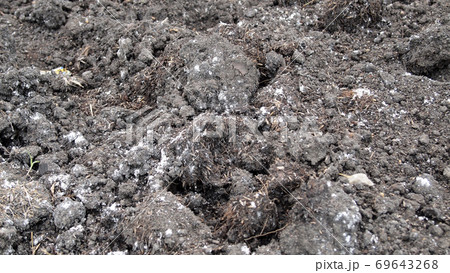 Fresh soil background closeup Fresh soil background closeup 69643268