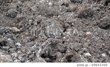 Fresh soil background closeup 69643269