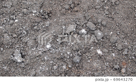 Fresh soil background closeup 69643270