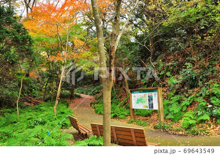 横浜市 金沢自然公園(金沢動物園)植物区エリアの散策路と紅葉 横浜市 金沢自然公園(金沢動物園)植物区エリアの散策路と紅葉 69643549