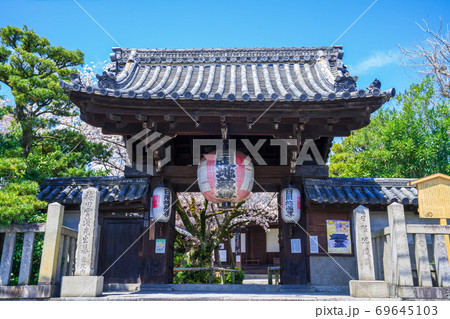 京都　日限地蔵（ひぎりじぞう）の桜 69645103