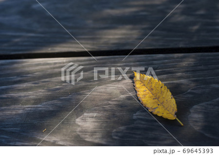 落葉 落葉 69645393