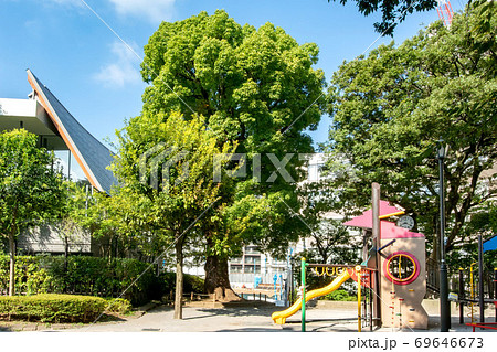 東京都港区の高松くすのき公園 69646673