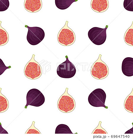 Illustration on theme big colored seamless purple fig 69647540