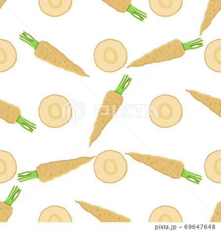 Illustration on theme of pattern plant parsnip Illustration on theme of pattern plant parsnip 69647648