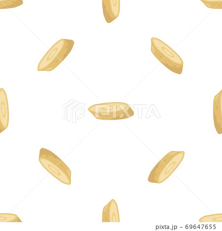 Illustration on theme of pattern plant parsnip Illustration on theme of pattern plant parsnip 69647655