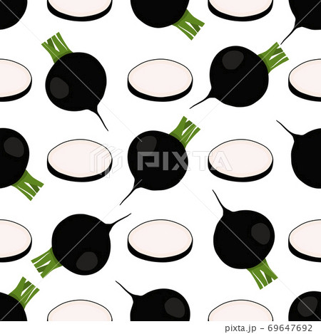 Illustration on theme of bright pattern black radish Illustration on theme of bright pattern black radish 69647692