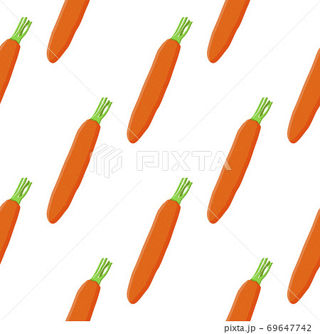 Illustration on theme of bright pattern yellow carrots Illustration on theme of bright pattern yellow carrots 69647742